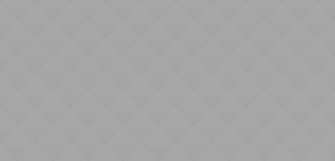 Why People think that Animals  are Funny